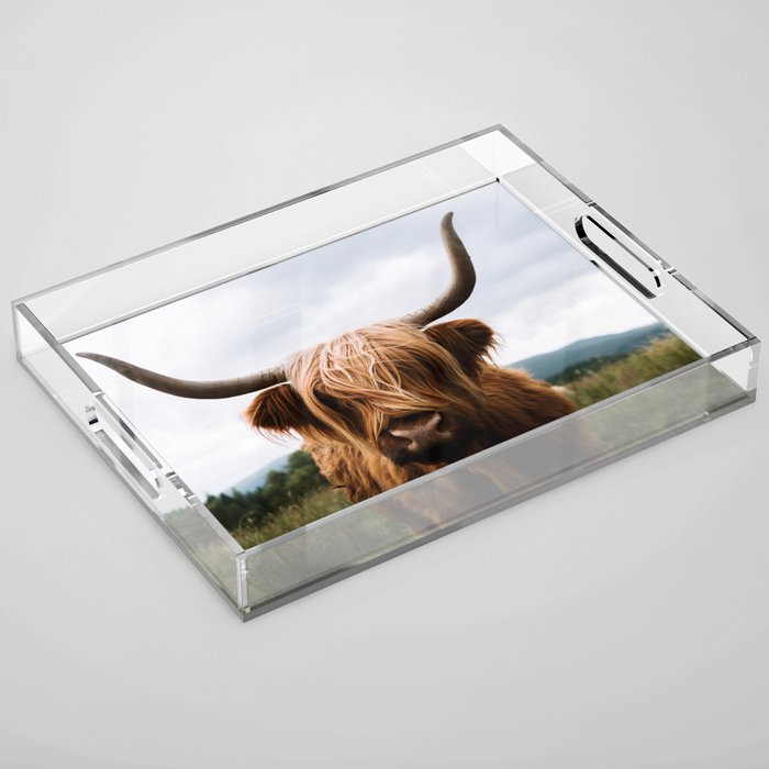Scottish Highland Cattle Portrait Acrylic Tray Gallery Image 1