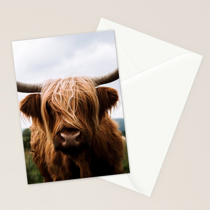 Scottish Highland Cattle Portrait Stationery Card Gallery Image 2
