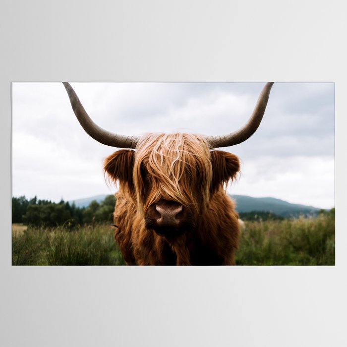 Scottish Highland Cattle Portrait Tablecloth Gallery Image 2