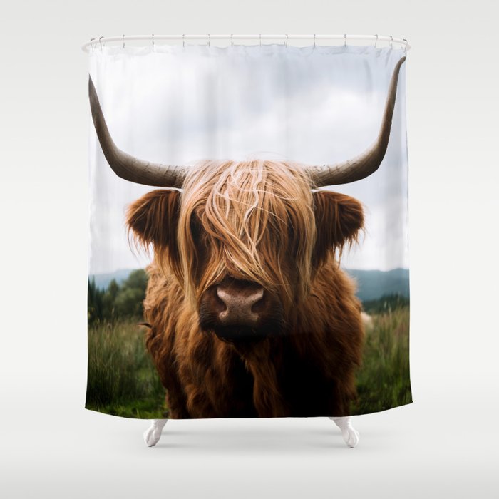 Scottish Highland Cattle Portrait Shower Curtain Gallery Image 1
