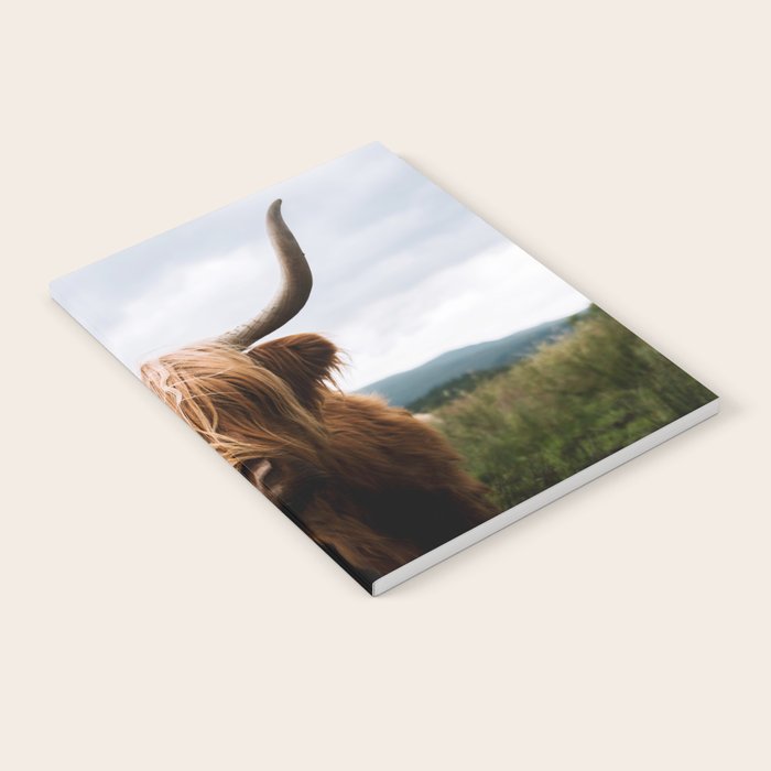 Scottish Highland Cattle Portrait Notebook Gallery Image 2