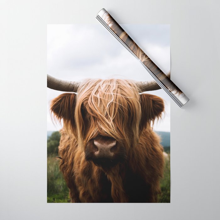 Scottish Highland Cattle Portrait Wrapping Paper Gallery Image 1