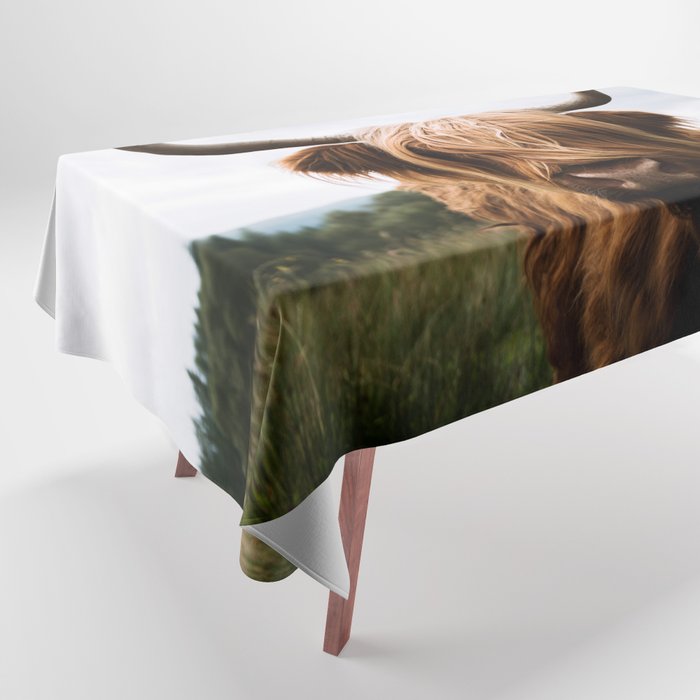 Scottish Highland Cattle Portrait Tablecloth Gallery Image 1