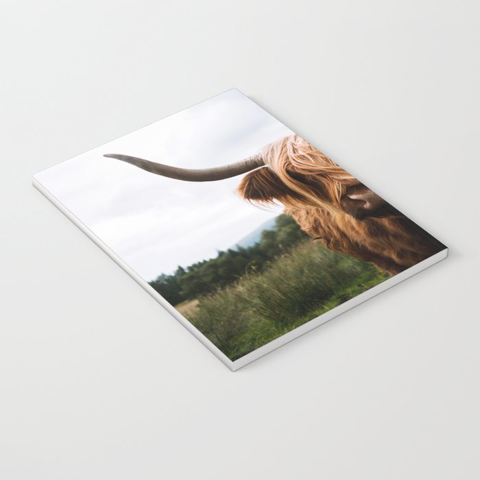 Scottish Highland Cattle Portrait Notebook Gallery Image 3