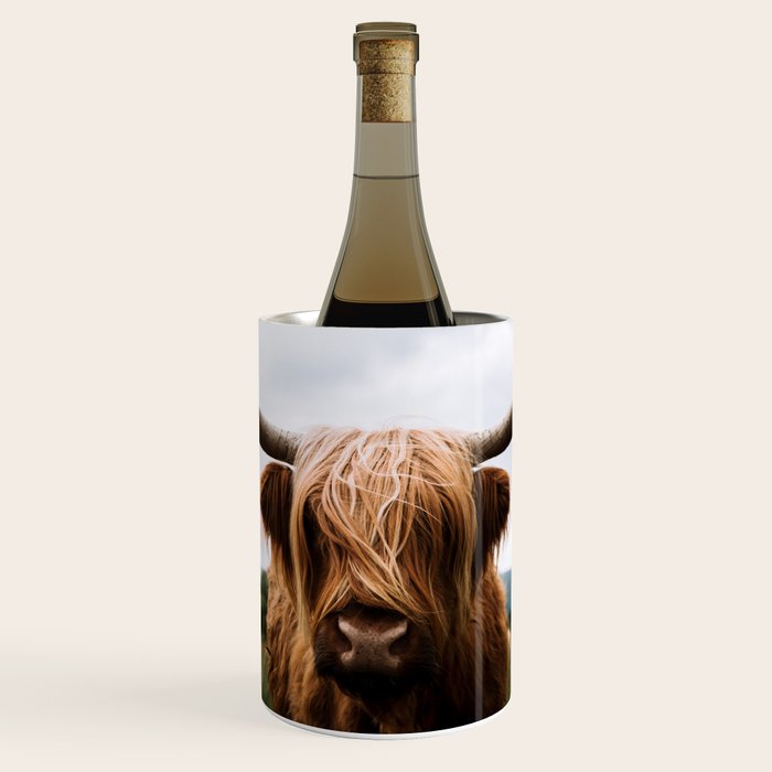 Scottish Highland Cattle Portrait Wine Chiller Gallery Image 1