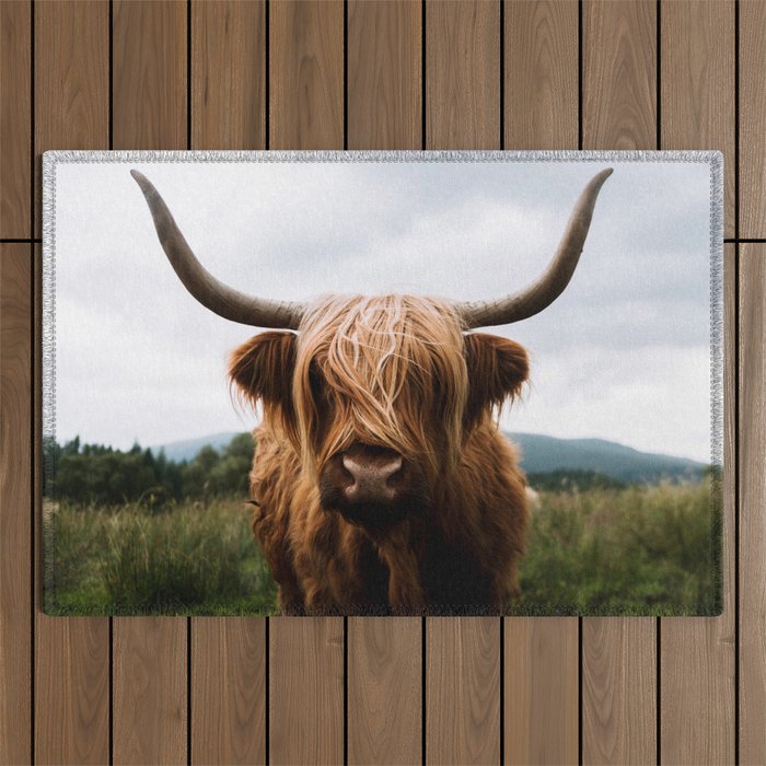 Scottish Highland Cattle Portrait Outdoor Rug Gallery Image 1