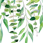 Mixed Eucalyptus  Coffee Mug Gallery Image 2