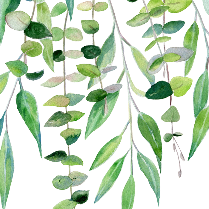 Mixed Eucalyptus  Coffee Mug Gallery Image 2