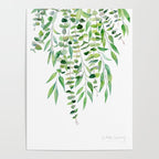 Mixed Eucalyptus  Poster Gallery Image 4