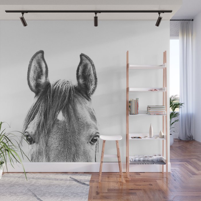 peekaboo horse, bw horse print, horse photo, equestrian print, equestrian photo, equestrian decor Wall Mural Gallery Image 1