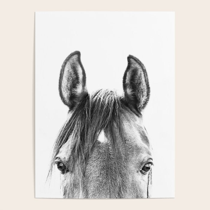 peekaboo horse, bw horse print, horse photo, equestrian print, equestrian photo, equestrian decor Poster Gallery Image 1