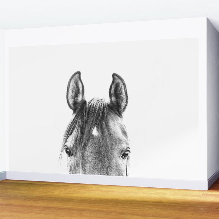 peekaboo horse, bw horse print, horse photo, equestrian print, equestrian photo, equestrian decor Wall Mural Gallery Image 2