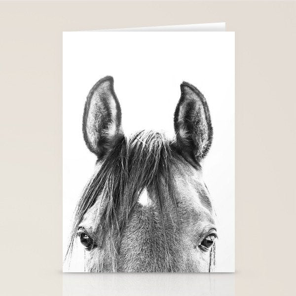 peekaboo horse, bw horse print, horse photo, equestrian print, equestrian photo, equestrian decor Stationery Card Gallery Image 2