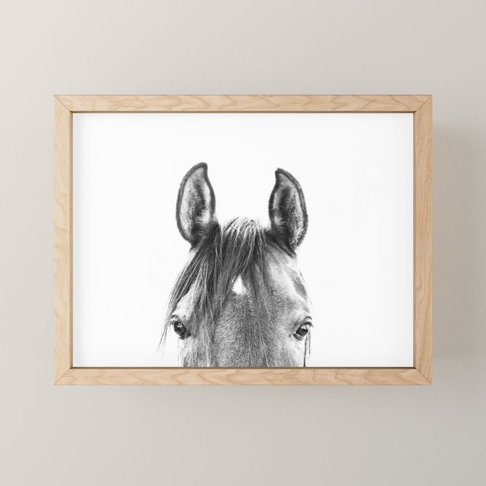 peekaboo horse, bw horse print, horse photo, equestrian print, equestrian photo, equestrian decor Mini Art Print Gallery Image 1