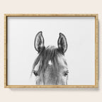 peekaboo horse, bw horse print, horse photo, equestrian print, equestrian photo, equestrian decor Serving Tray Gallery Image 1