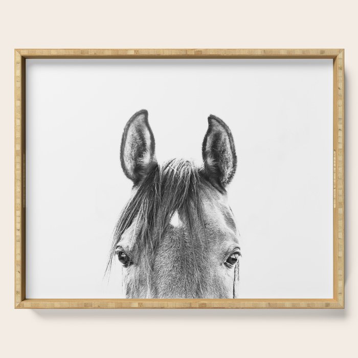 peekaboo horse, bw horse print, horse photo, equestrian print, equestrian photo, equestrian decor Serving Tray Gallery Image 1