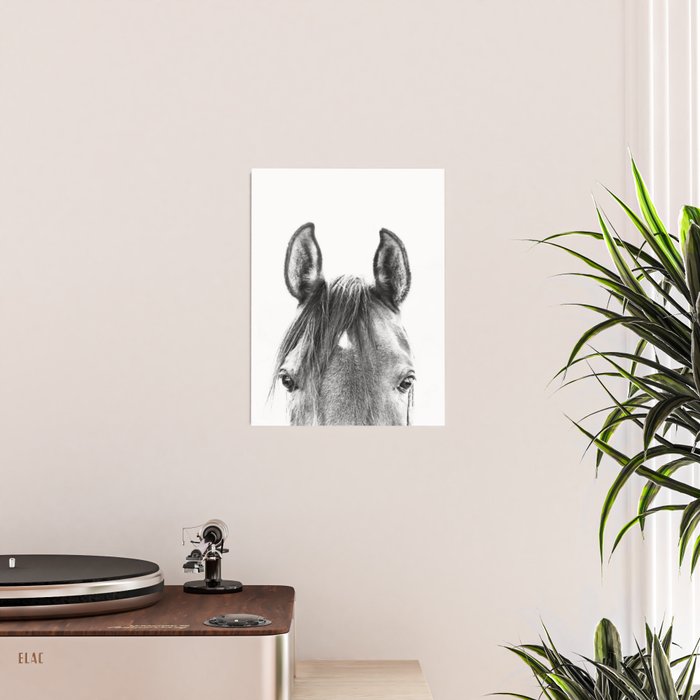 peekaboo horse, bw horse print, horse photo, equestrian print, equestrian photo, equestrian decor Poster Gallery Image 2