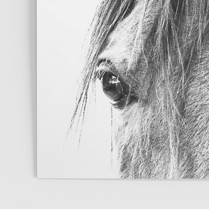 peekaboo horse, bw horse print, horse photo, equestrian print, equestrian photo, equestrian decor Poster Gallery Image 3