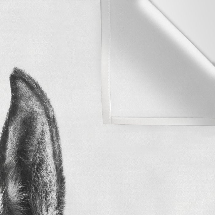 peekaboo horse, bw horse print, horse photo, equestrian print, equestrian photo, equestrian decor Wall Tapestry Gallery Image 3