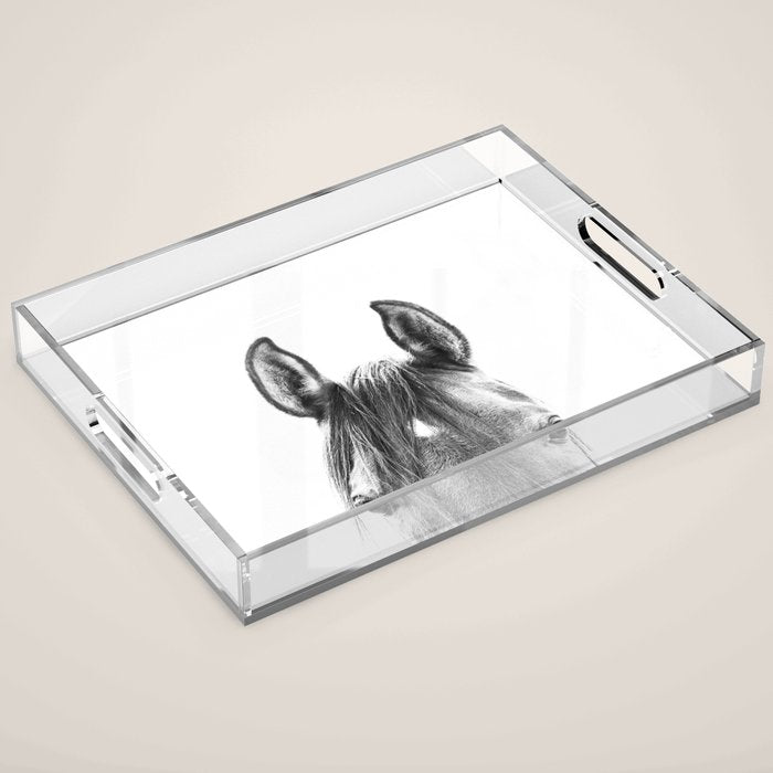 peekaboo horse, bw horse print, horse photo, equestrian print, equestrian photo, equestrian decor Acrylic Tray Gallery Image 1