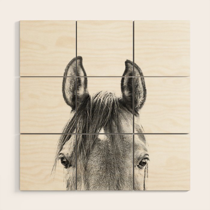 peekaboo horse, bw horse print, horse photo, equestrian print, equestrian photo, equestrian decor Wood Wall Art Gallery Image 1