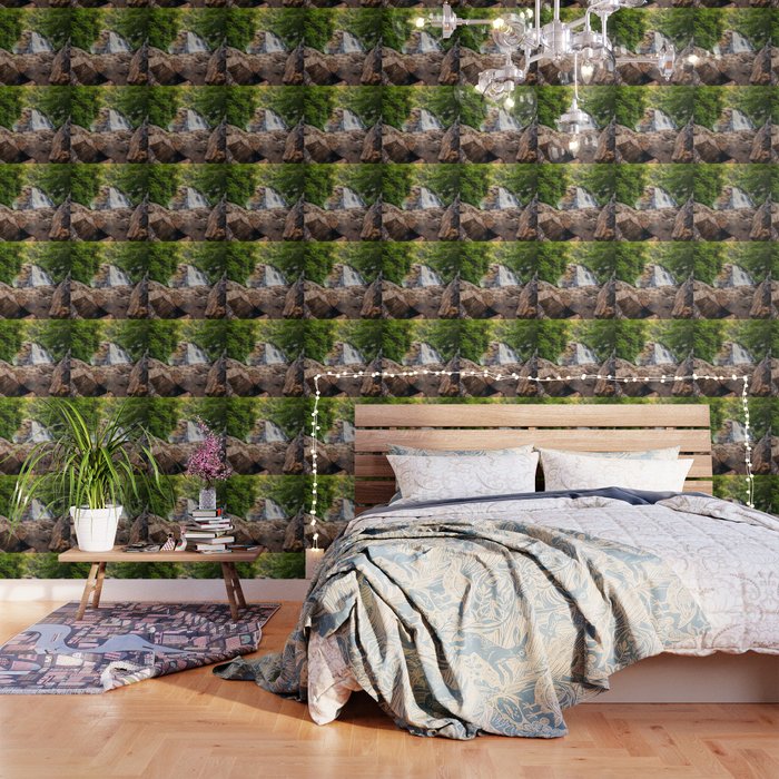 Blackwater Falls State Park West Virginia Waterfall River Canyon Landscape Photography Wallpaper Gallery Image 1