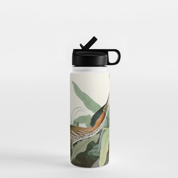 Green Heron - John James Audubon Birds of America Water Bottle Gallery Image 1