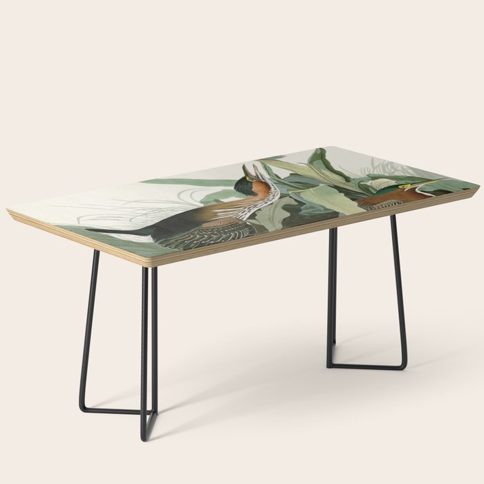 Green Heron - John James Audubon Birds of America Coffee Table Gallery Image 1
