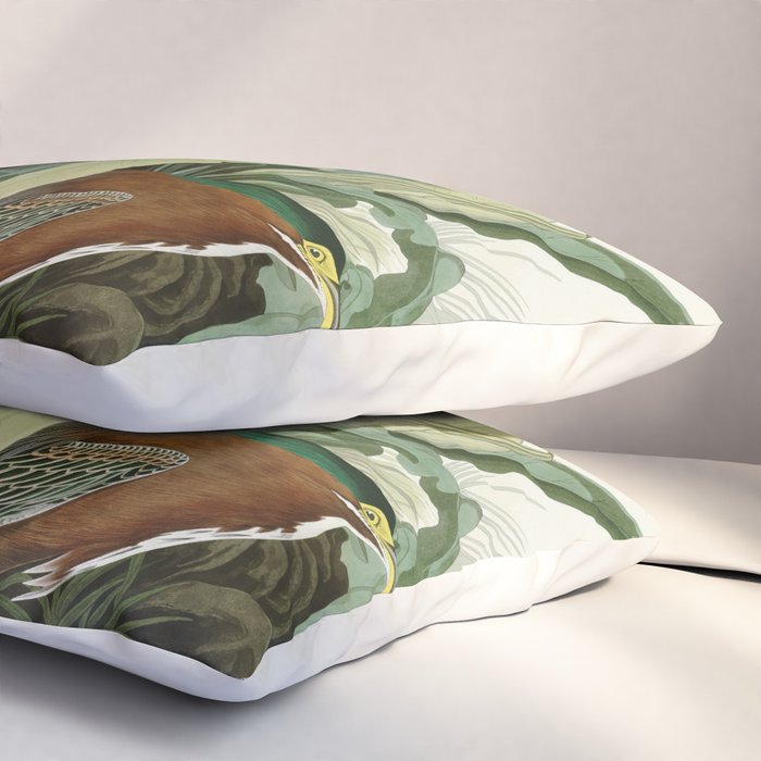 Green Heron - John James Audubon Birds of America Pillow Sham Gallery Image 3