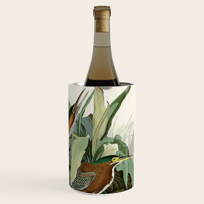 Green Heron - John James Audubon Birds of America Wine Chiller Gallery Image 3