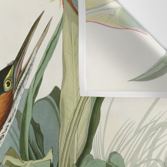 Green Heron - John James Audubon Birds of America Wall Tapestry Gallery Image 3
