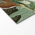 Green Heron - John James Audubon Birds of America Welcome Mat Gallery Image 2