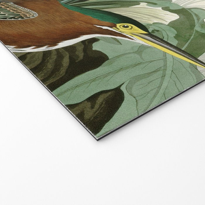 Green Heron - John James Audubon Birds of America Welcome Mat Gallery Image 2