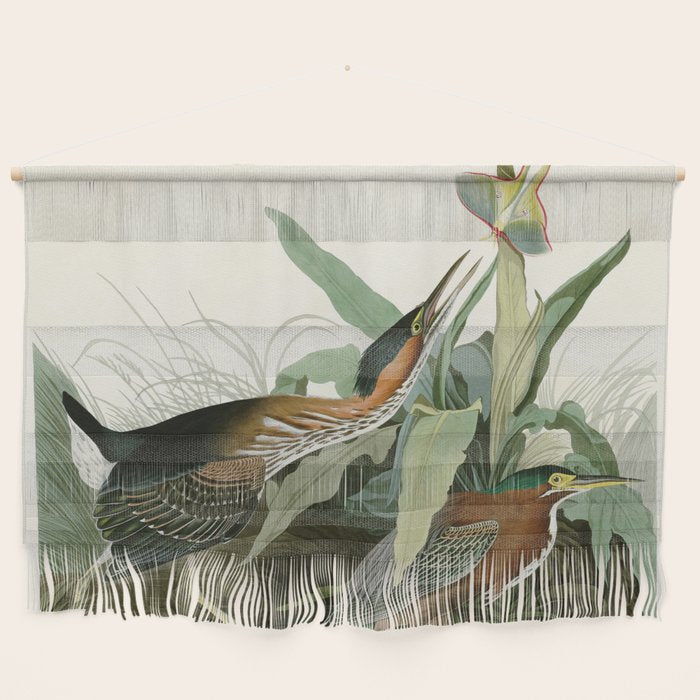 Green Heron - John James Audubon Birds of America Wall Hanging Gallery Image 1