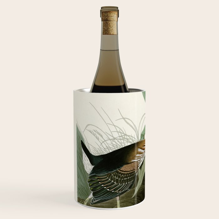 Green Heron - John James Audubon Birds of America Wine Chiller Gallery Image 2