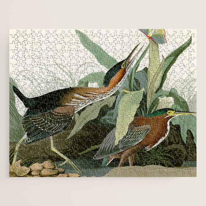 Green Heron - John James Audubon Birds of America Jigsaw Puzzle Gallery Image 1