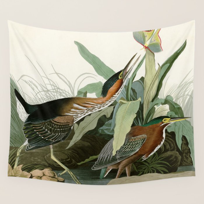 Green Heron - John James Audubon Birds of America Wall Tapestry Gallery Image 1