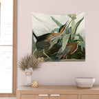 Green Heron - John James Audubon Birds of America Wall Tapestry Gallery Image 2