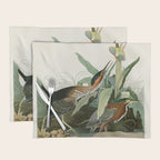 Green Heron - John James Audubon Birds of America Placemat Gallery Image 1