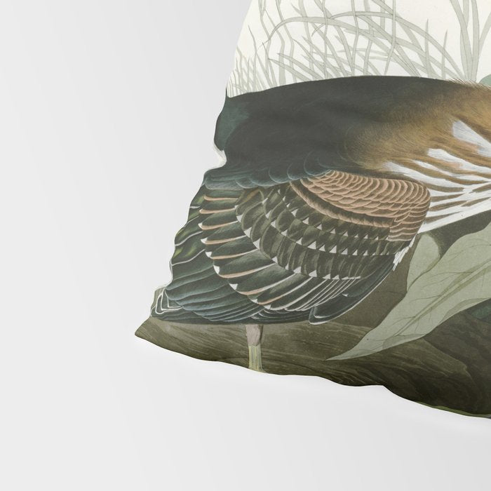 Green Heron - John James Audubon Birds of America Pillow Sham Gallery Image 4