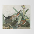 Green Heron - John James Audubon Birds of America Throw Blanket Gallery Image 2