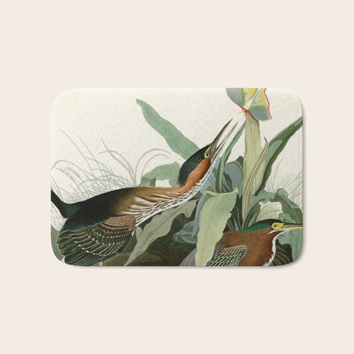 Green Heron - John James Audubon Birds of America Bath Mat Gallery Image 1