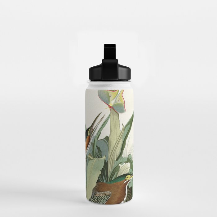 Green Heron - John James Audubon Birds of America Water Bottle Gallery Image 2