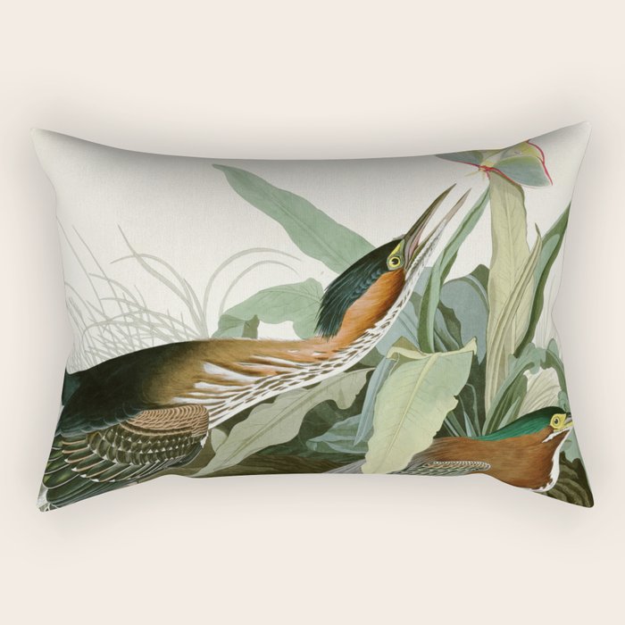 Green Heron - John James Audubon Birds of America Rectangular Pillow Gallery Image 1