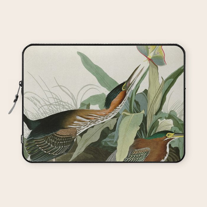 Green Heron - John James Audubon Birds of America Laptop Sleeve Gallery Image 1