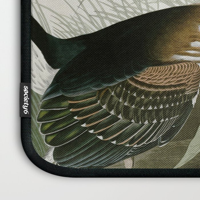 Green Heron - John James Audubon Birds of America Laptop Sleeve Gallery Image 3