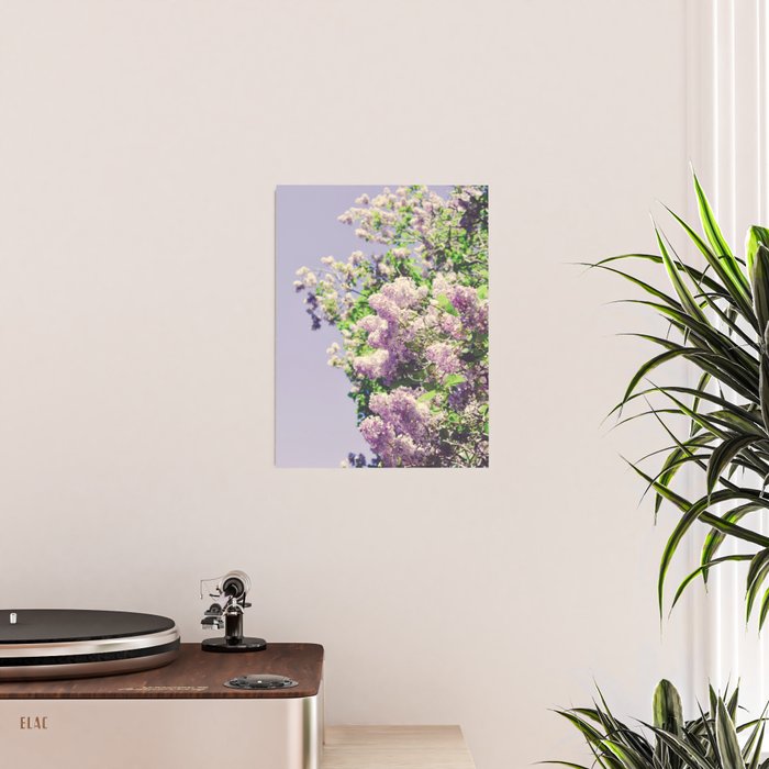 Lilac Flowers Poster Gallery Image 2