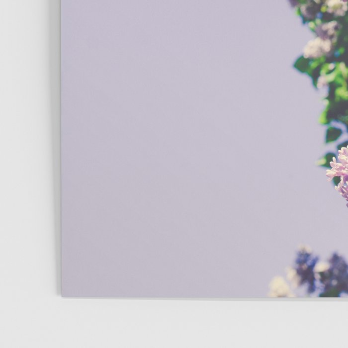 Lilac Flowers Poster Gallery Image 3