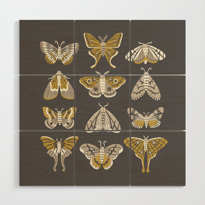 Moths Wood Wall Art Gallery Image 1