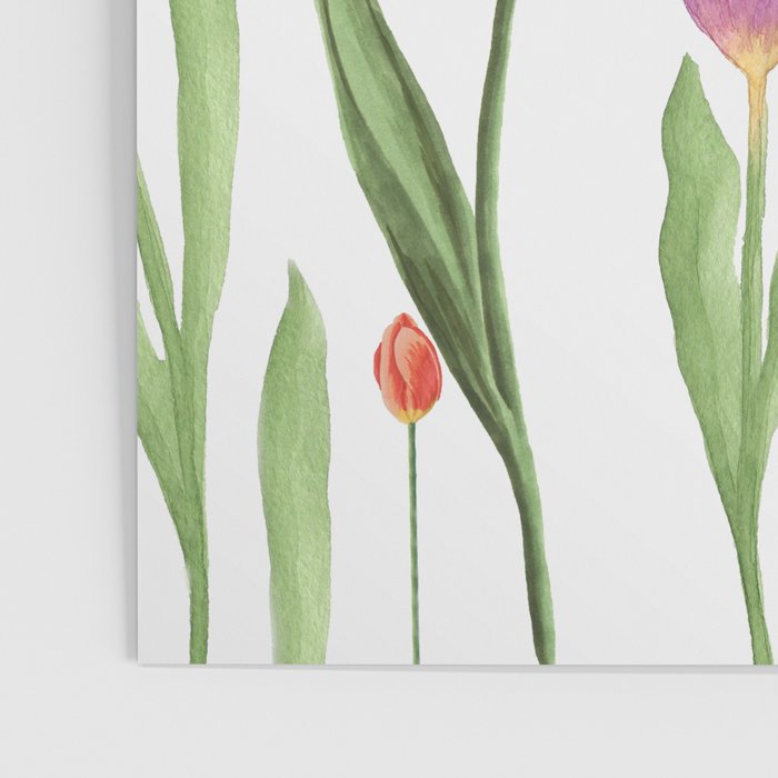 Tulips Poster Gallery Image 3